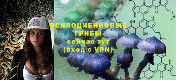 прущая мука Арсеньев