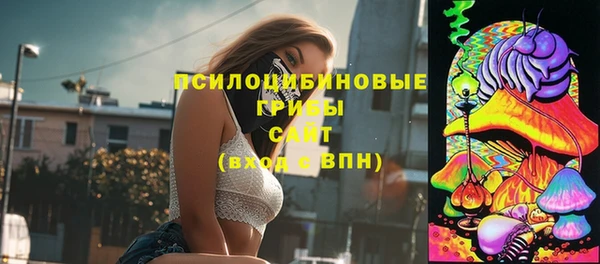 гидропоника Армянск