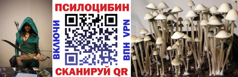 Псилоцибиновые грибы Magic Shrooms  наркошоп  Борисоглебск 